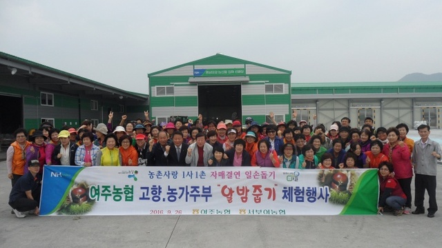 ▲ 16년 9월26일  고향주부농가주부 알밤줍기 일손돕기 지원