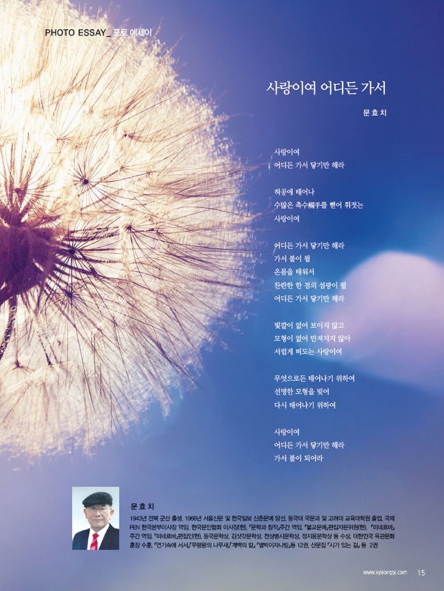 제목 없음-1 사본.jpg