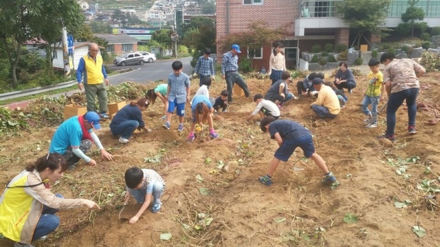 ▲ 1006 [수동면] 남양주시 수동면 노인회, 농촌체험 개최 사진1