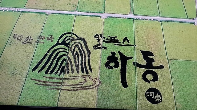 ▲ 하동