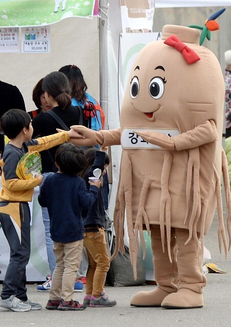 화보  20161016 제4회 강화고려인삼축제JYJ_1166.jpg