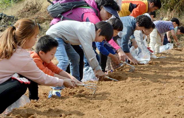 7면 20161016 제4회 강화고려인삼축제 박스JYJ_0943.jpg