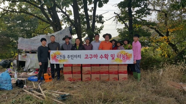 ▲ 의왕시 고천동, 고구마