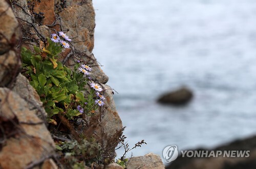 바다부채길-2.jpg