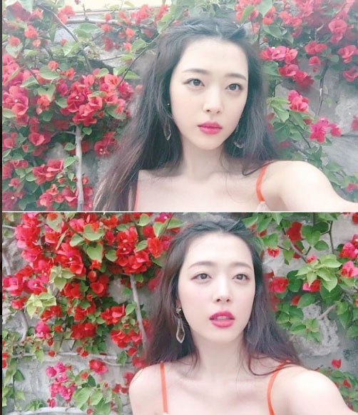 설리.jpg