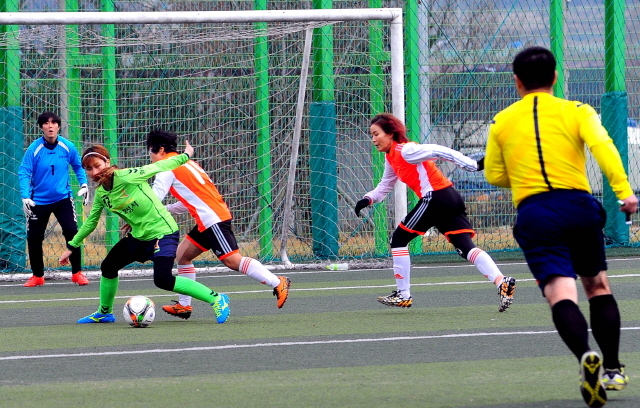 크기변환_안성축구대회 전161127 (7).jpg