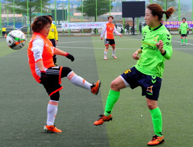 크기변환_안성축구대회 전161127 (15).jpg