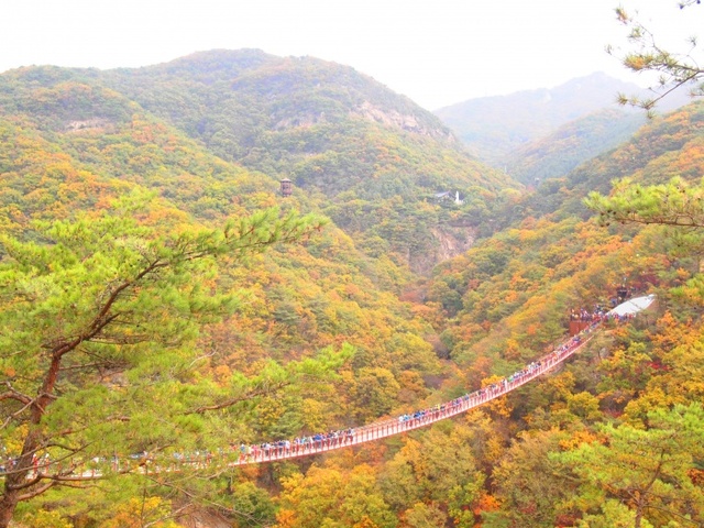▲ 감악산출렁다리 (7)