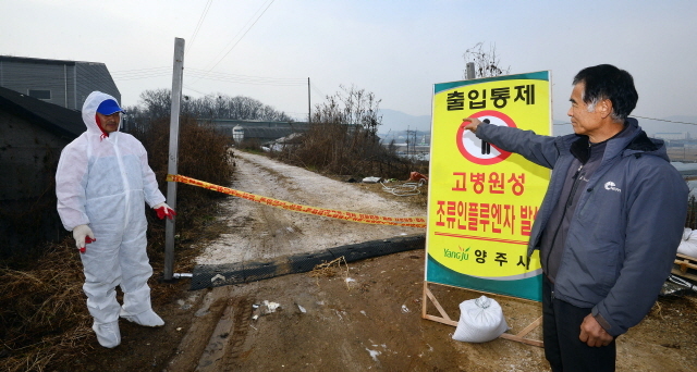 3-고병원성 조류인플루엔자(AI)의 타격으로 농가의 시름이 더욱 깊어지고 있다. 경기도 내 최초로 AI 확진 판정을 받으며 폐쇄된 양주시 백석읍 오산3리의 한 산란계 농가 앞에서 이 마을 우종수 이장이 “AI로 마을이 유령마을처럼 쑥대밭이 됐다”고 괴로워 하고 있다. 오승현기자.jpg