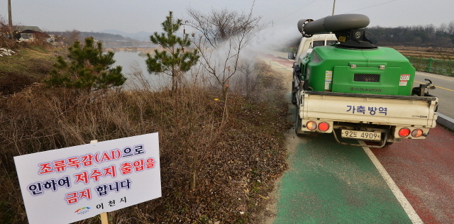 11-주변 양계농가 8곳에서 연달아 AI가 발병하며 출입이 통제된 이천시 설성면 성호저수지에서 4일 오후 방역당국 관계자가 방역하고 있다. 오승현기자.jpg