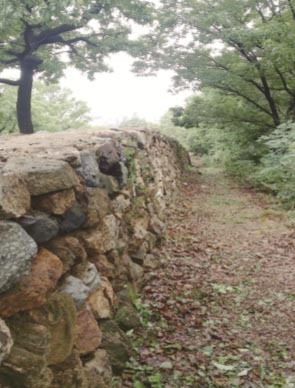 제목 없음-3.jpg