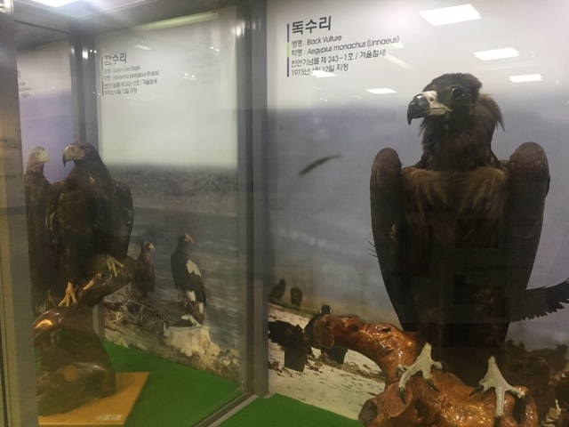 ▲ 천연기념물 특별전시1