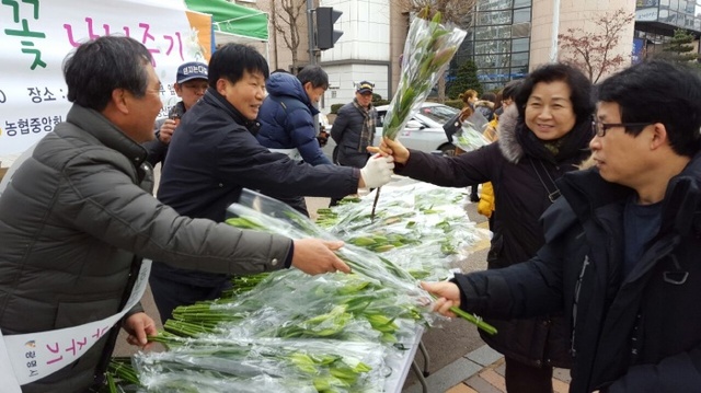 ▲ 광명시는 지난14일 NH농협은행 철산동지점 앞에서 광명시 백합꽃의 우수성을 알리는 사랑의 백합꽃 나누기 행사가 열렸다. 광명시 제공