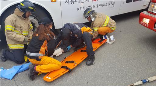 ▲ 교통사고 구조