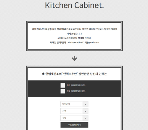 ▲ 온라인 사이트 '키친 캐비닛' 화면 캡처