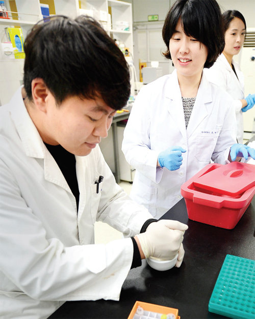 극지지의류의 공생 남세균을 동정하기 위한 DNA를 추출하기에 앞서 공생 남세균의 세포조직을 파쇄하고 있다.