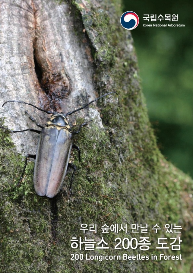 ▲ '우리 숲에서 만날 수 있는 하늘소 200종' 전자도감