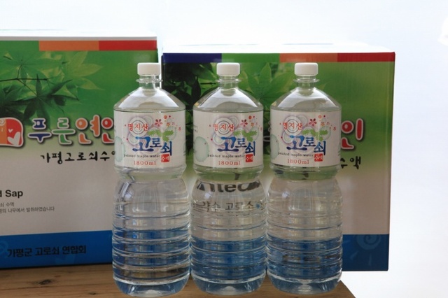 ▲ 가평고로쇠수액 (3)