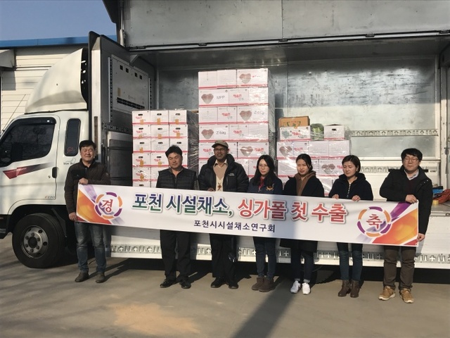 ▲ 싱가폴 포천 채소 수출