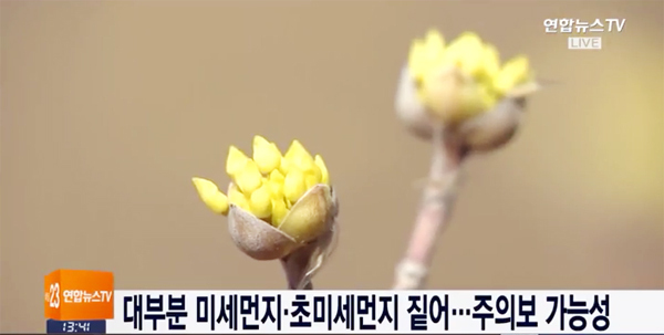 ▲ 오늘(19일), 낮에 포근하다 밤엔 쌀쌀…대부분 미세먼지·초미세먼지. 연합뉴스TV 캡처