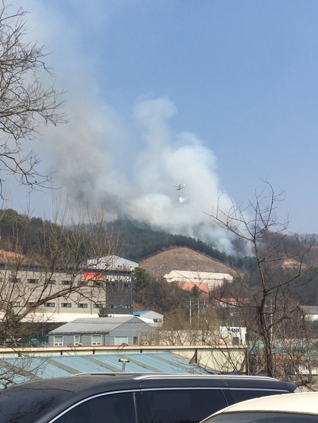 ▲ 독자제공