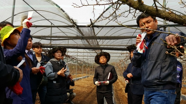 ▲ 28일 안성 포도농가에서 돌발병해충 예방방제 교육을 하는 모습