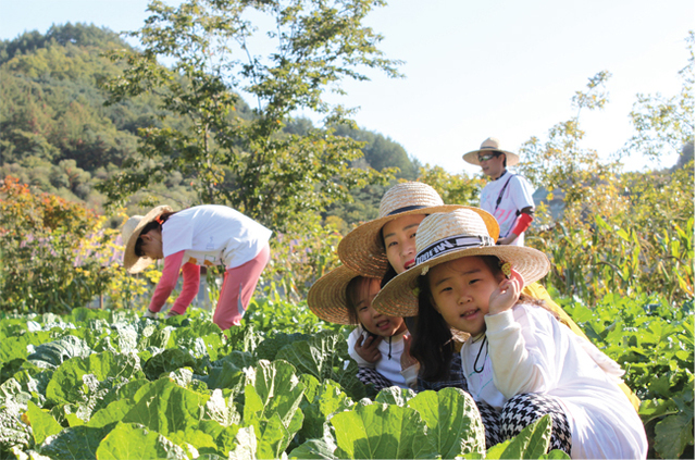 제목 없음-1 사본.jpg