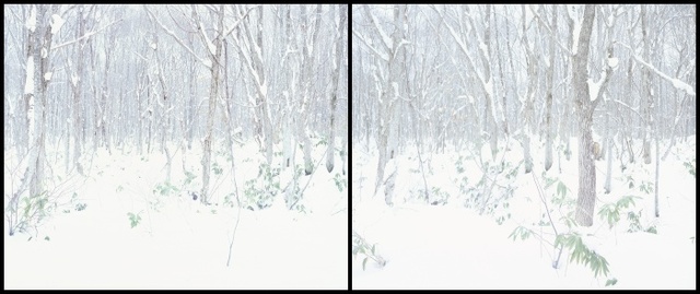 ▲ 박진영_엄마의창_아오모리 2017