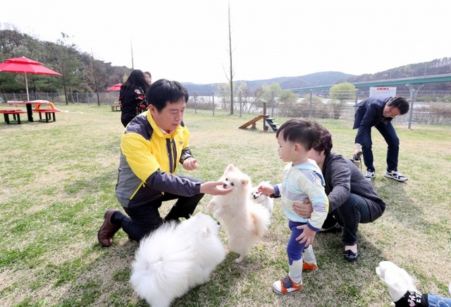 ▲ (사진1)기흥호수공원 반려견 놀이터 사진1