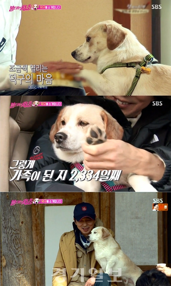 ▲ SBS ‘불타는 청춘’ 김국진, 반려견 덕구와 운명적 인연
