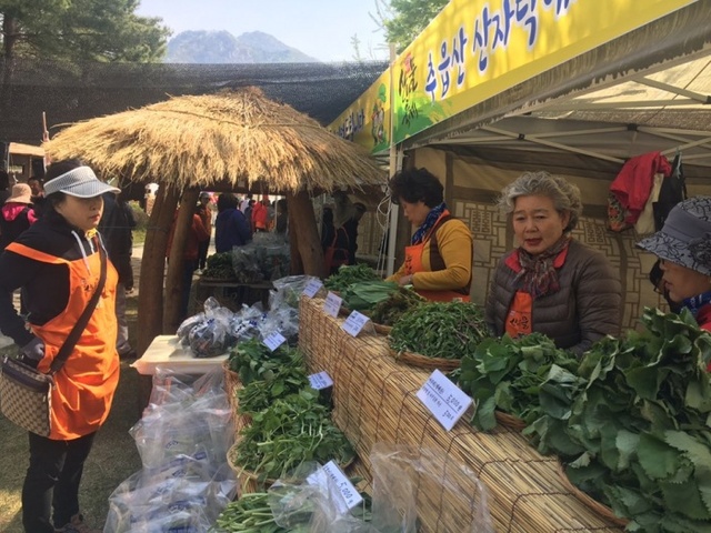 ▲ 산나물축제1