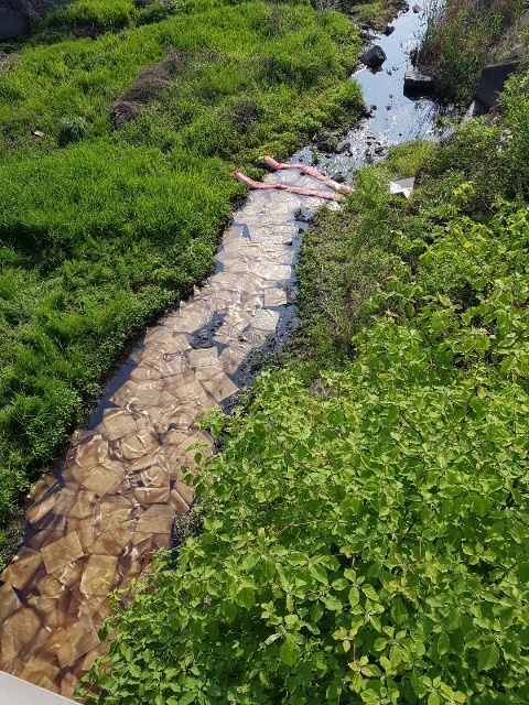 기름.jpg