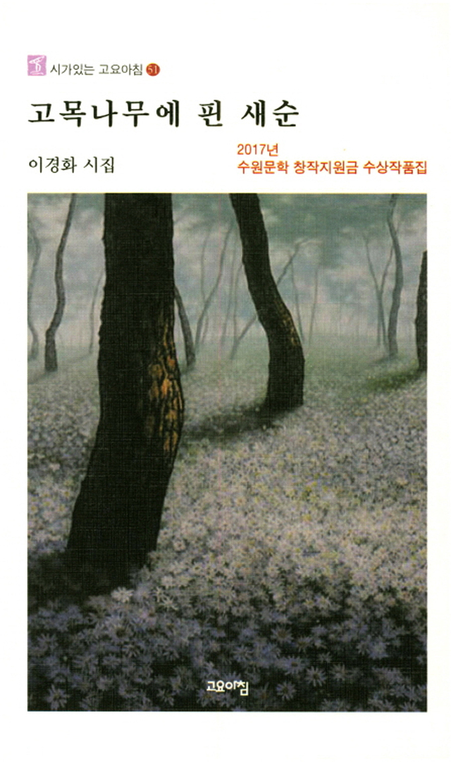 ▲ 고목나무에 핀 새순