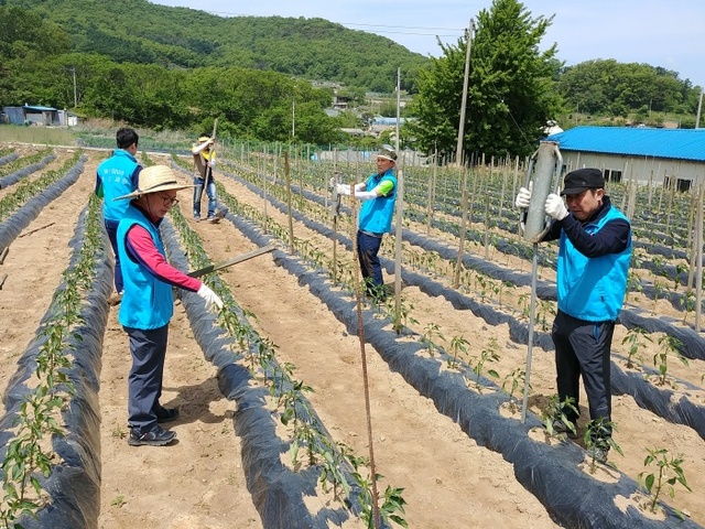 ▲ 인천세관 온정의 봉사활동