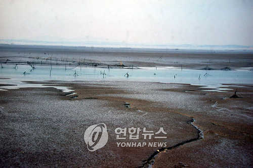 ▲ 갯골 모습[연합뉴스 자료 사진]