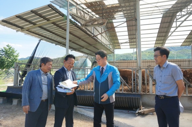 ▲ 무허가 축사를 방문한 김성재 양평부군수(오른쪽에서 두번째)
