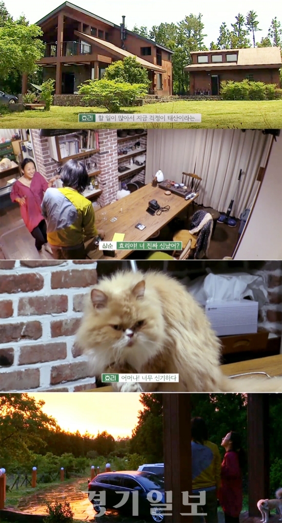 ▲ JTBC 예능 ‘효리네 민박’ 티저