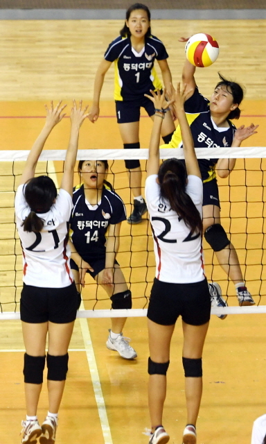 크기변환_용인전국남녀배구대회2 전170618 (2).jpg