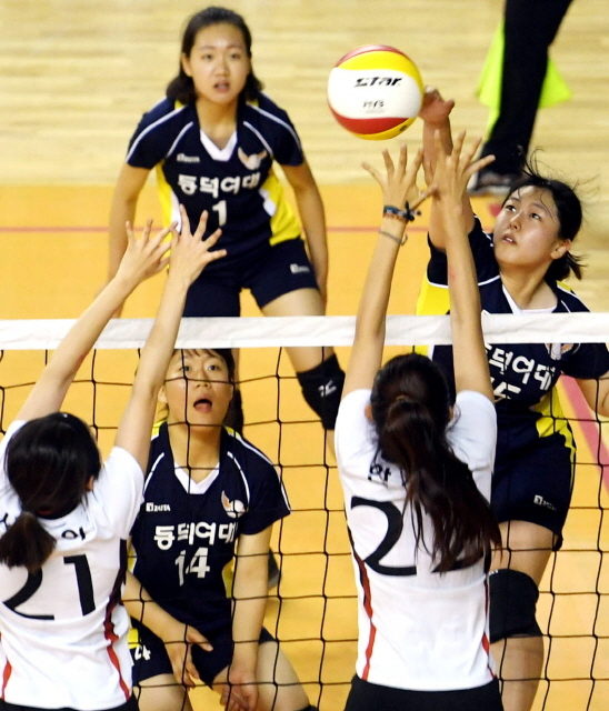 크기변환_용인전국남녀배구대회2 전170618 (4).jpg