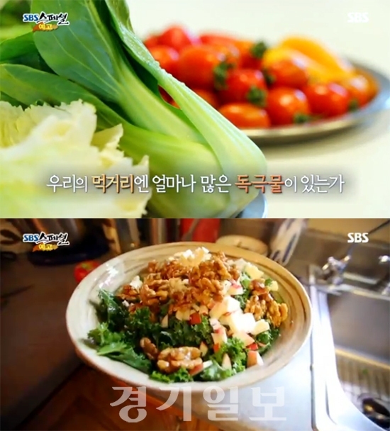 ▲ SBS 스페셜 ‘밥상 디톡스 - 무엇을 먹을 것인가’