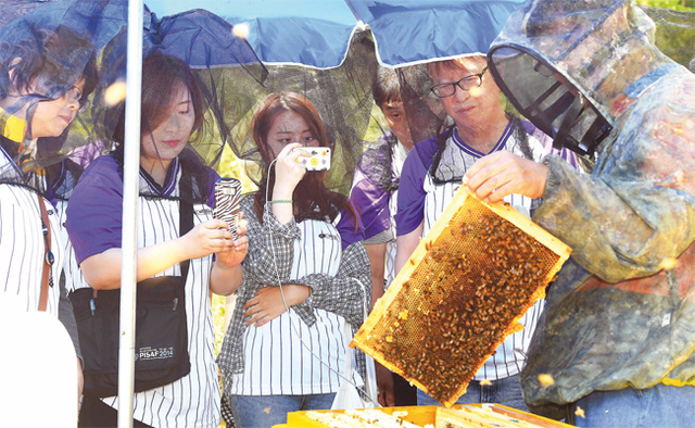 따복! 팸투어 1차 행사가 열린 5월19일 의왕시 도시양봉학교(협동조합 함박꽃웃음)에서 개그맨 전유성과 파워블로거, 따복 서포터즈, 대학생 기자단 등 참가자들이 양봉 과정을 체험하고 있다.