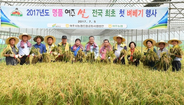 ▲ 1 여주시 대왕님표 여주쌀 전국 첫 벼베기 행사실시 사본