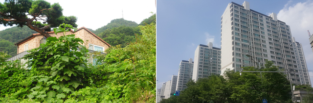 ▲ 경기도 산하 공공기관과 수의계약을 체결해 연구용역을 진행한 가평군 T사와 서울시 H사. 하지은기자