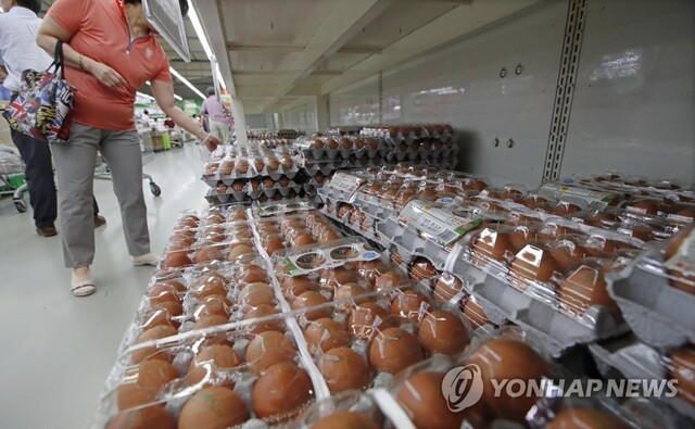 ▲ [연합뉴스 자료사진]