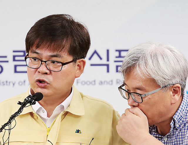 ▲ 15일 오후 정부세종청사 농림축산식품부에서 허태웅 식품정책실장(왼쪽)이 국내 계란 살충제 검출 관련 브리핑 도중 직원과 답변을 상의하고 있다. 연합뉴스