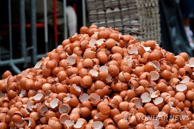벨기에에서 대형 오믈렛 만들기 행사에 사용되고 난 달걀 껍질.  /AFP=연합뉴스