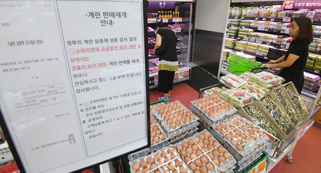 이마트와 롯데마트, GS25, GS슈퍼마켓 등 대형 유통업체들이 ‘살충제 계란’ 파문으로 일시 중단했던 계란 판매를 재개한 16일 경기도 내 한 매장에 식용란 살충제 검사결과 증명서와 판매재개 안내문이 부착돼 있지만 소비자들은 이를 외면하고 있다. 오승현기자