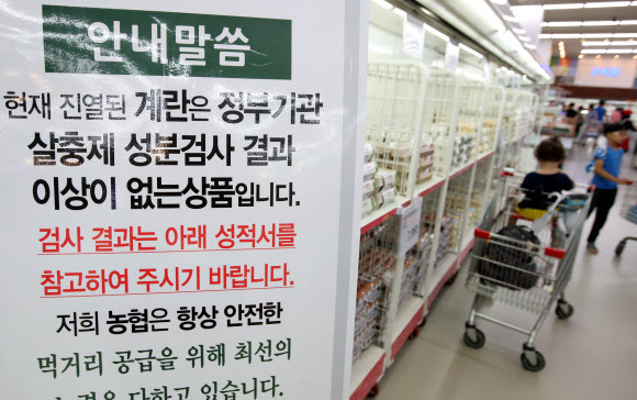 ▲ 20일 서울의 한 대형마트에서 정부기관 살충제 성분검사 결과 이상없는 계란이 판매되고 있다. 연합뉴스