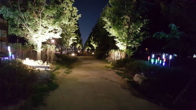 ▲ 동두천시 철로변에 조성된 메타세콰이어 가로수길에 지난 5월부터 사업비 1억6천만 원을 들여 라인투광등 5개, 갈대등 224개, 투광등 30개, 볼라드등 12개 등 271개의 야간 경관조명을 설치하는 등 리모델링이 완료됐다. 동두천시 제공