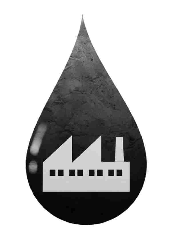 ▲ 